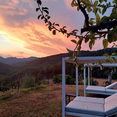 Villa Giuliana B&B Scarperia Exteriér fotografie