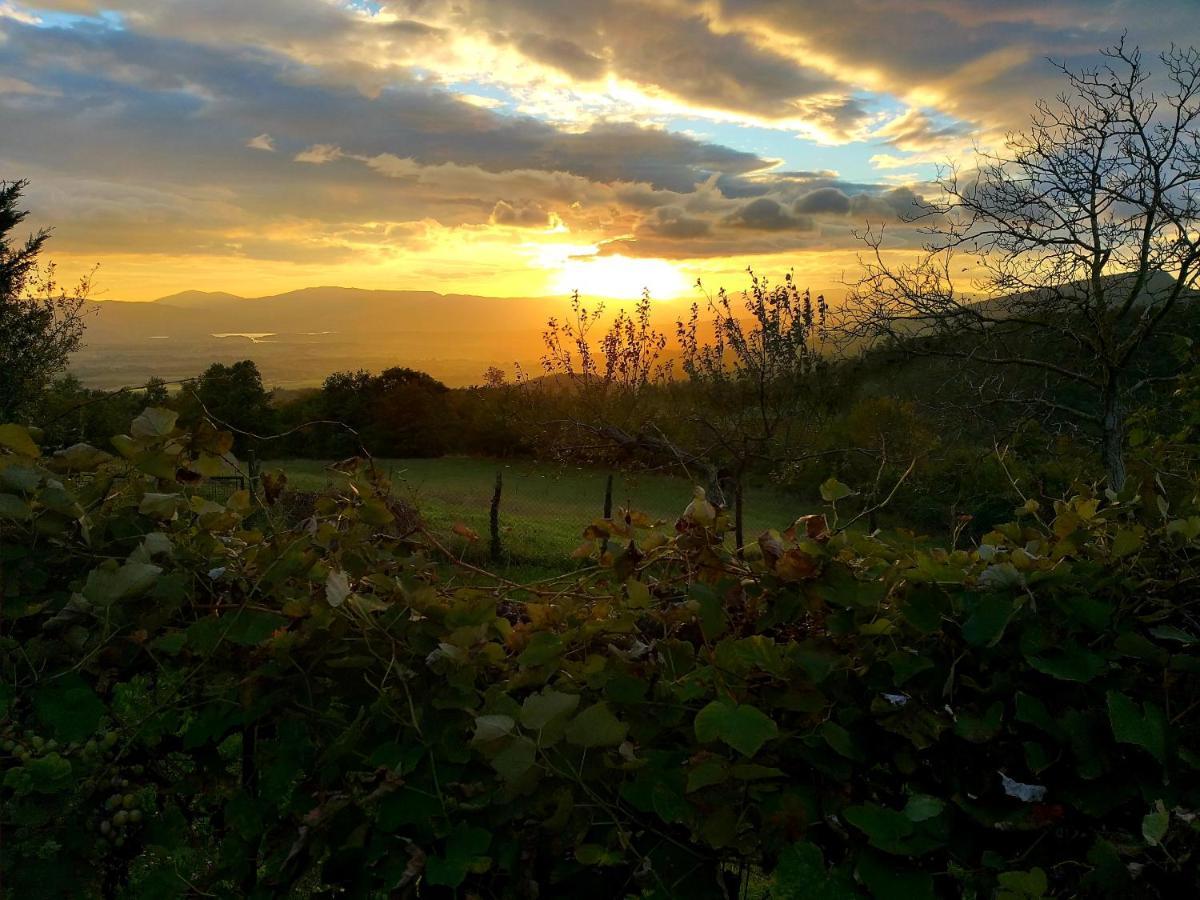 Villa Giuliana B&B Scarperia Exteriér fotografie