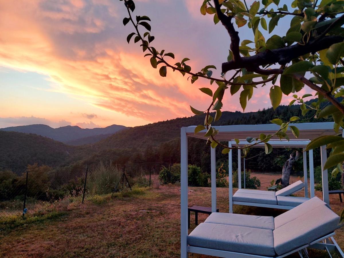 Villa Giuliana B&B Scarperia Exteriér fotografie