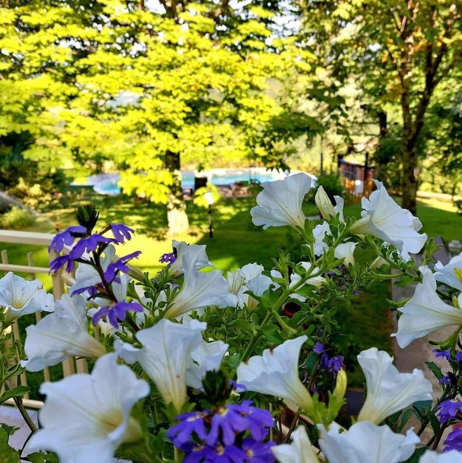 Villa Giuliana B&B Scarperia Exteriér fotografie